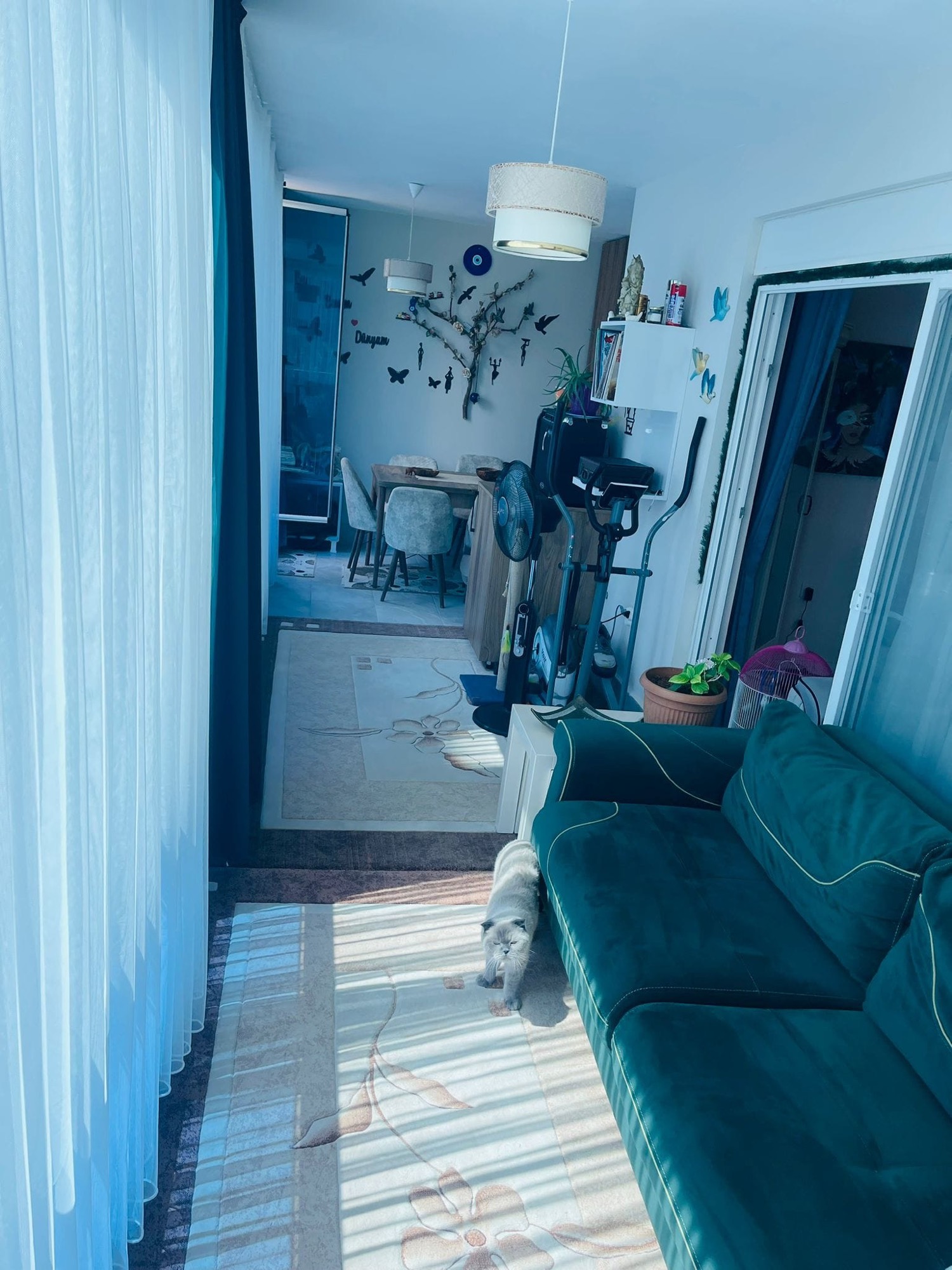 2+1 Apartment for Sale in MAHMUTLAR, Alanya