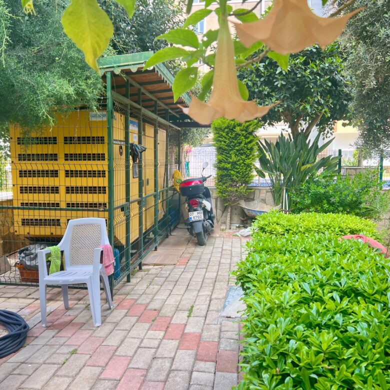 1+1 Apartment for Sale in MAHMUTLAR, Alanya